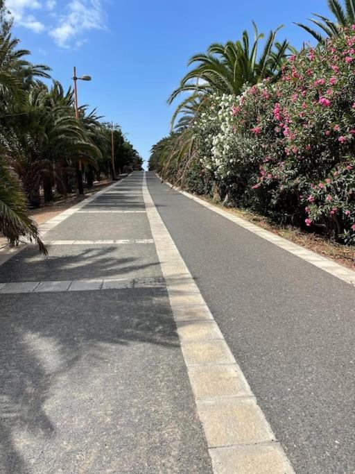 Fuertevilla كوستا كالما المظهر الخارجي الصورة