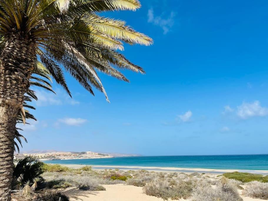 Fuertevilla كوستا كالما المظهر الخارجي الصورة