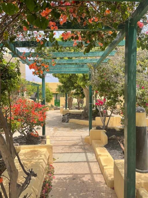 Fuertevilla كوستا كالما المظهر الخارجي الصورة