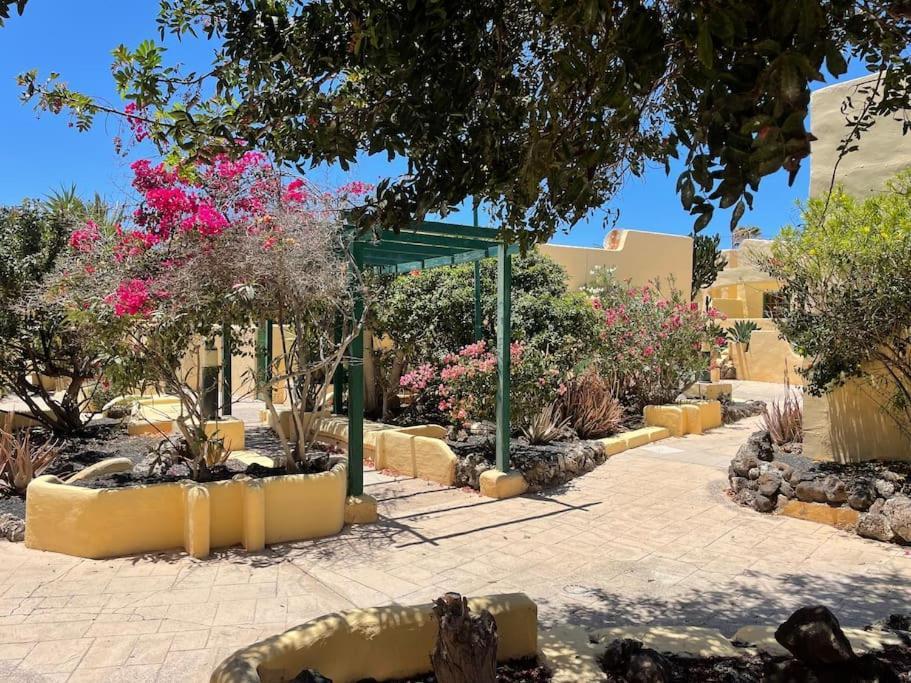 Fuertevilla كوستا كالما المظهر الخارجي الصورة